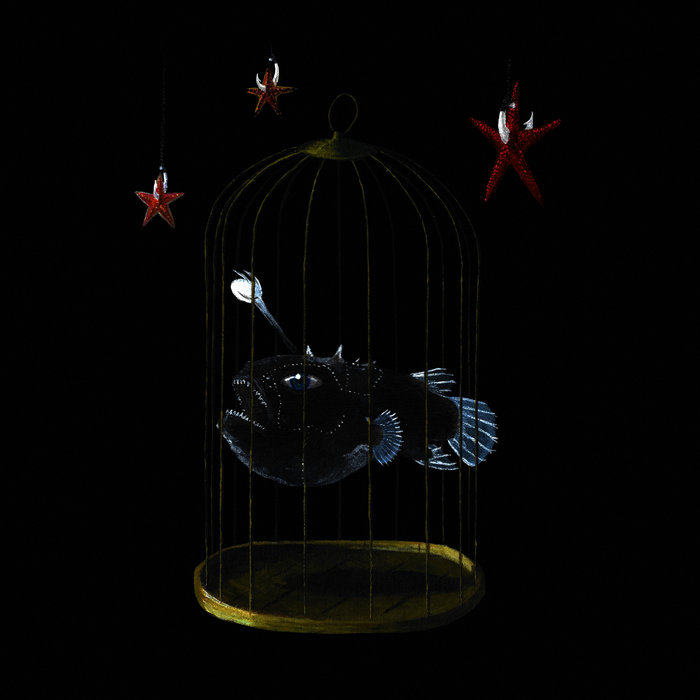 Koizilla Ornithology.