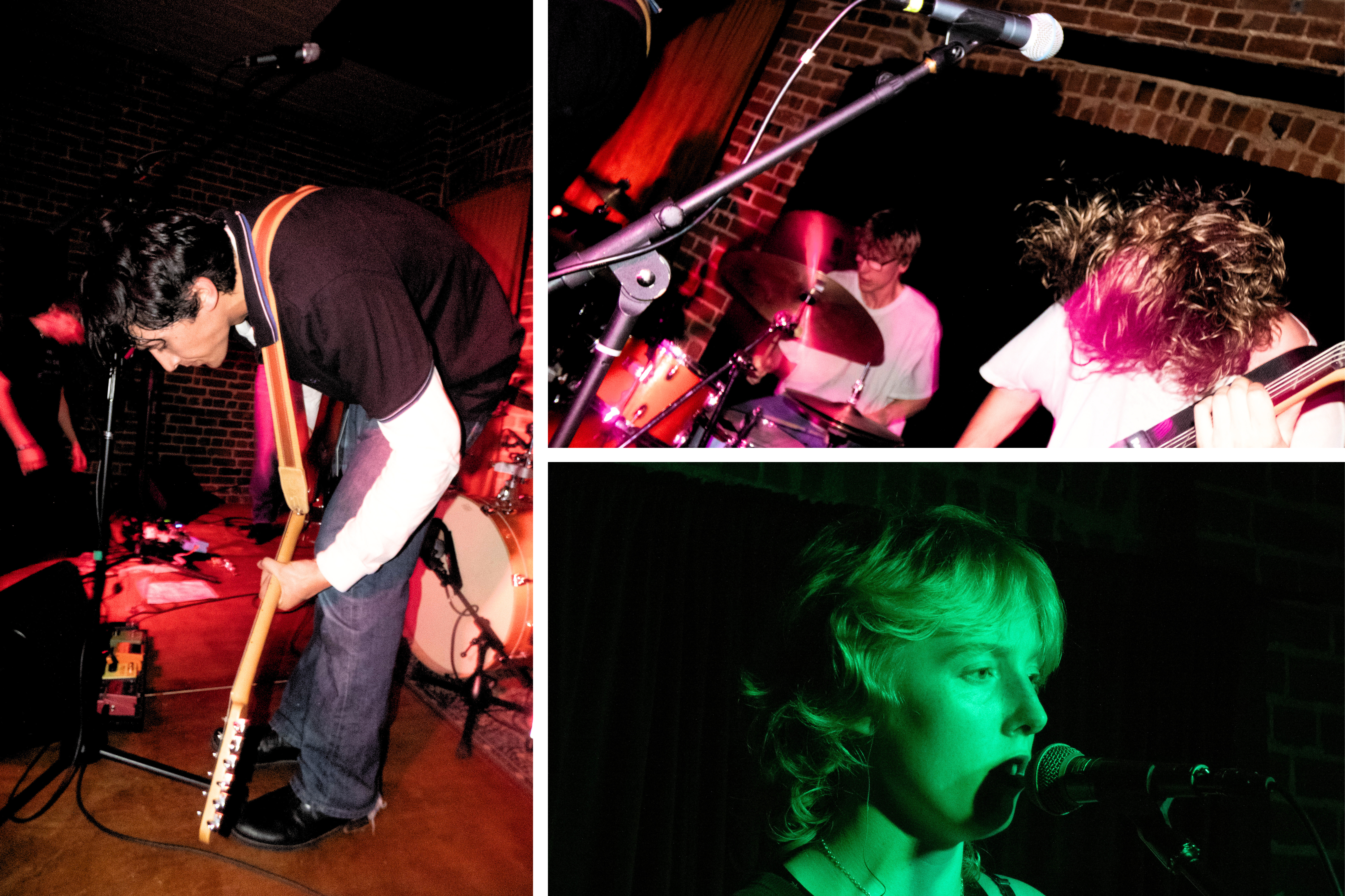 Ani Saafa at Pearl Diver.