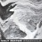 Saltwater Criminals (Dn)