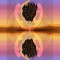 The Mentalist Collective (Dn)