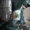 Sombre Cattle (NZ)