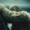 Beyonce