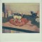 Speedy Ortiz